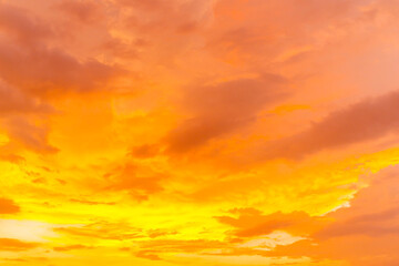 Obraz premium Trend color background