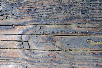 Rough Textured Surface of Old Wooden Beam 