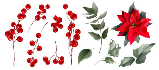 Set with Poinsettia, holly, winter berries in Christmas bouquet. Modern universal artistic templates. Corporate Holiday cards and invitations. Floral backgrounds design. Watercolor botanical