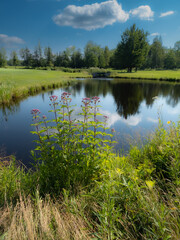 Fototapeta na wymiar Nice lake on a Canadian golf club in the province of Quebec