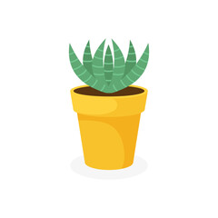 Spiny cactus in a flower pot, on a white background, vector illustration