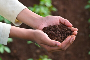 Human hands hold the brown soil in the palms of the close-up and space for copying. Concept -...