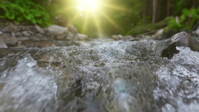 Fast mountain river in the forest. Camera moves along the surface of the water and stones, setting sun and greenery in the background. Slow motion UHD shot