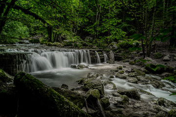 Fototapeta premium Fleur, papillon, cascade d'eau, rivière... florilège de la nature et beauté environnante.
