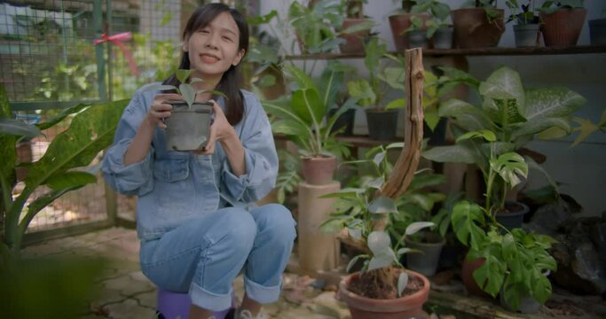 Slow motion scene of a happy smiling long-haired Asian farmer woman who owns an ornamental plant farm is  propagating ornamental plants in new pots for sale in her garden house.
