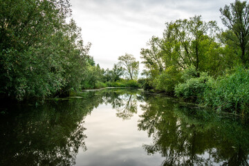 lake and trees, De Biesbosch