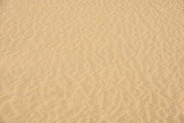 Obraz na płótnie Canvas Wind-blown sand surface.