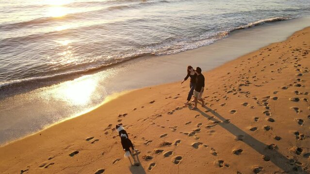 Aerial shot of a happy couple walking and playing with their dog on the beach at sunset.