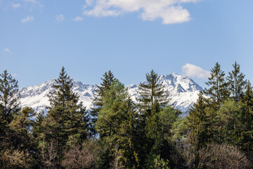 High mountains with snowy peaks, coniferous treetops, few clouds on the sky, Trentino, Italy