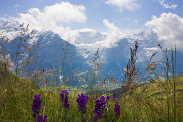 The Lütschental Valley, with Grindelwald and the  Grindelwald Glacier in the centre, with Common...