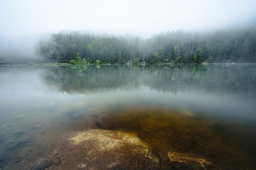 Mist over lac vert