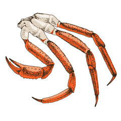 King crab legs. Sea delicacies 