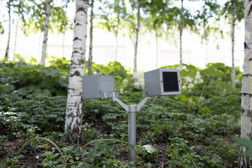Speakers in artificial modern summer birch park forest. Benefits of music for plant growth