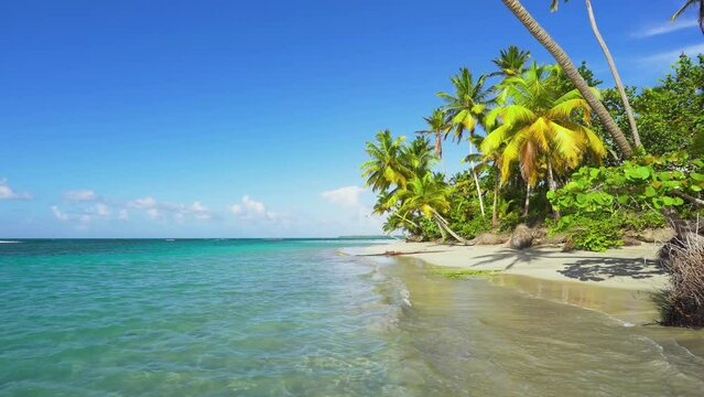 Maldivian beach on a tropical island. Green palm trees on an exotic sea coast against a blue sky. Turquoise ocean waves on white sand. Travel to tropical paradise.
