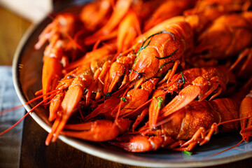 an appetizer with beer from whole boiled river crayfish.