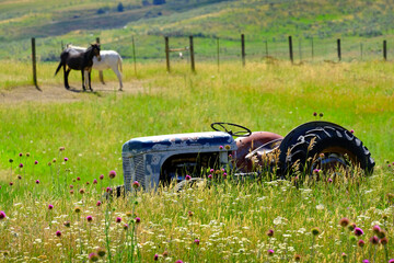 Old Vintage Tractor Antique in Field with Flowers Abandoned