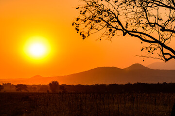 Landscape at the Arusha national park at sunset, Tanzania
