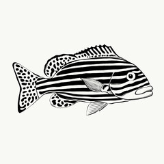 Fish Style Art Illustration