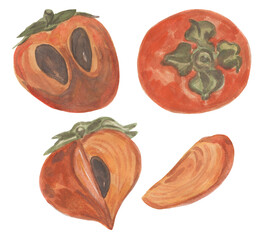 Set of ripe persimmon elements