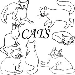 Cat doodles in abstract hand drawn style, black and white line art vector illustration.Doodle style cat.Day of the cat.