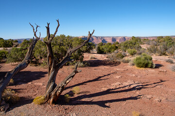 Canyonlands National Park