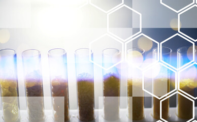 Research Analyzing Agricultural Grains And seeds In The Laboratory. Background with futuristic flare.