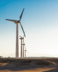 Wind power plants in desert at sunset