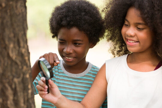 Teenager Boy And Girl Examining The Tree Stem Through Magnifying Glass. Group Of African American Children Exploring Nature On The Tree With Magnifying Glass. Education And Discovery Concept