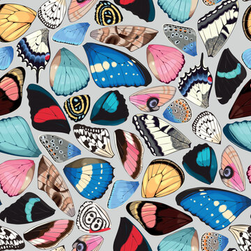 Butterfly and moth wings vector seamless pattern