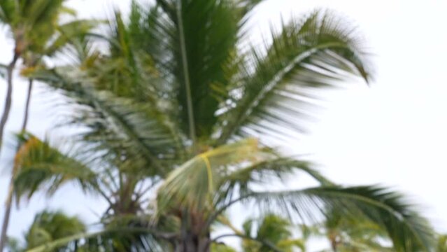 Woman reading book in resort pool. Vacation and relaxation theme.