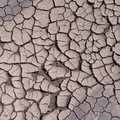 soil drought cracked texture