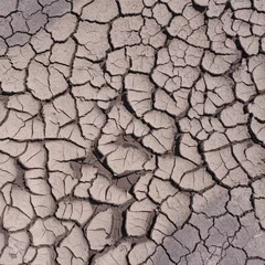 Deurstickers soil drought cracked texture © Ammak
