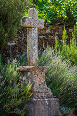 Long shot profile view of stone cross covered by bush