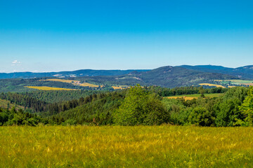 Fototapeta na wymiar Sommerwanderung durch die schöne Natur von Schmalkalden - Thüringen - Deutschland