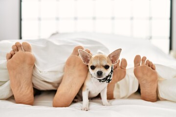 Couple feet and dog on bed.