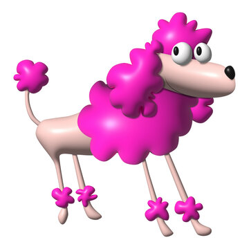 Cute pink poodle dog isolated 3d render
