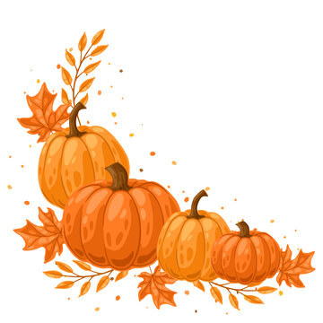 Background with pumpkins and leaves. Decorative image of autumn vegetable and plant.