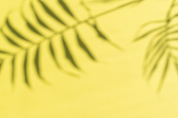 Blurred background. Blur. The shadow of a plant on a yellow background. Selective focus. Place for text. Summer advertising fund.