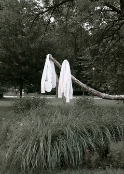 Art photo of a white jacket and shirt hanging on a tree