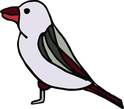 Bird Illustration, hand-drawn illustration. Crow, sparrow