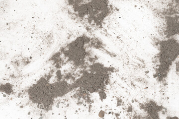 Contents vacuum cleaner garbage, trash, dust, animal hair isolated white background. close-up