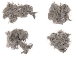 Contents vacuum cleaner garbage, trash, dust, animal hair isolated white background. collage....