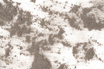 Contents vacuum cleaner garbage, trash, dust, animal hair isolated white background. close-up