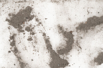 Contents vacuum cleaner garbage, trash, dust, animal hair isolated white background. close-up