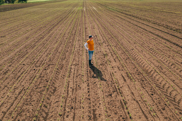 Aerial shot of female farmer standing in corn sprout field and examining crops. Farm worker wearing trucker's hat and jeans on plantation.