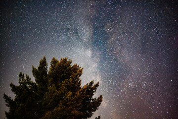 stars in the milkway