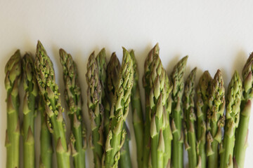 asparagus on white background.fresh asparagus officinalis on white background