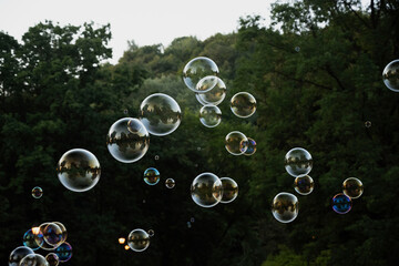 soap bubbles on the background of trees