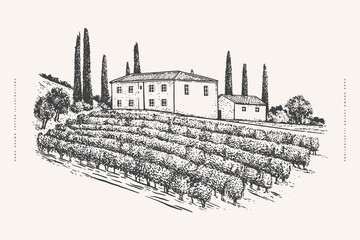 Villa with cypress trees and vineyard in engraving style. Rural landscape of the wine region. Design element for wineries and wine shops. Vector vintage illustration. - obrazy, fototapety, plakaty
