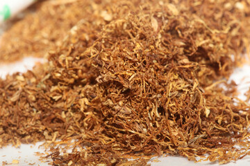 Smoking rolled tobacco leaves close up modern background high quality big size prints